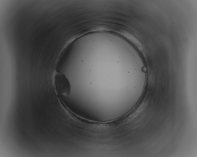 X0000100480945200806271159