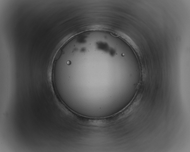 X0000100480946200806271159