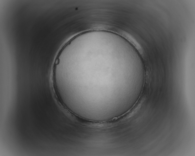 X0000100480948200806271159