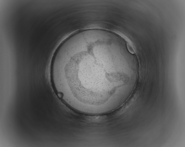 X0000100480949200806271159