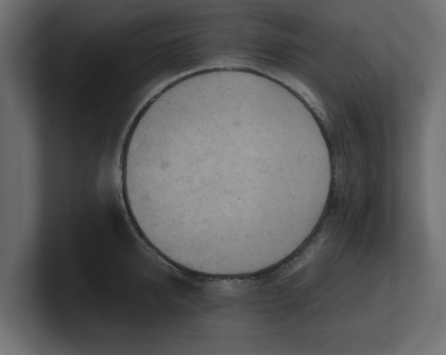 X0000100480950200806271159