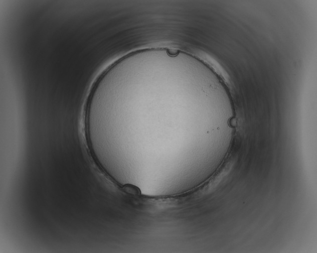 X0000100480952200806271159