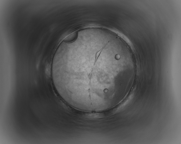 X0000100480953200806271159