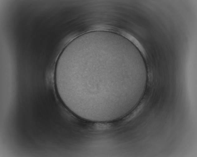 X0000100480954200806271159