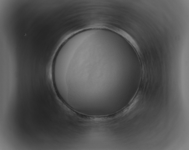 X0000100480958200806271159