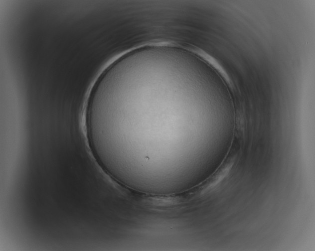 X0000100480959200806271159