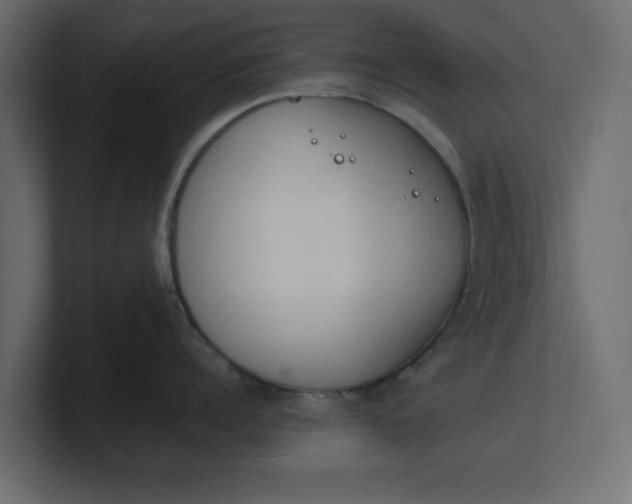 X0000100480960200806271159