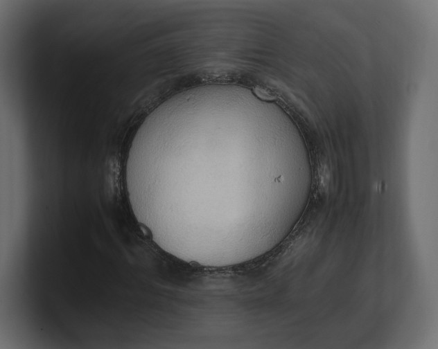 X0000100480964200806271159