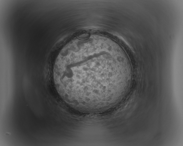 X0000100480967200806271159