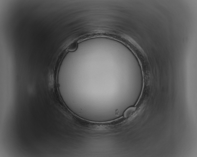 X0000100480969200806271159