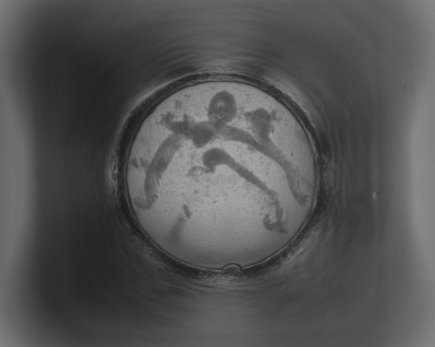 X0000100480971200806271159