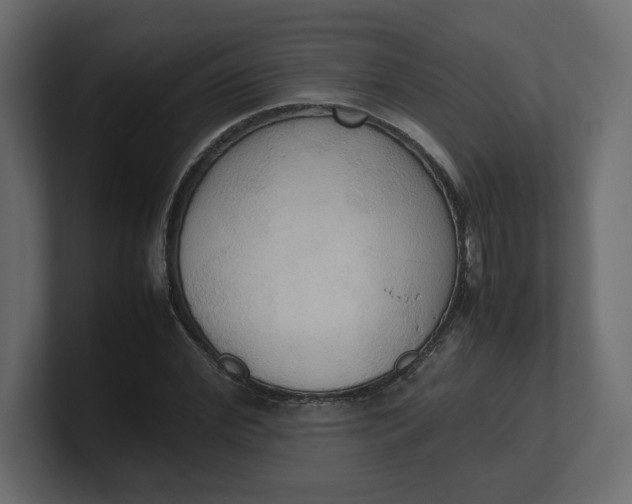 X0000100480972200806271159