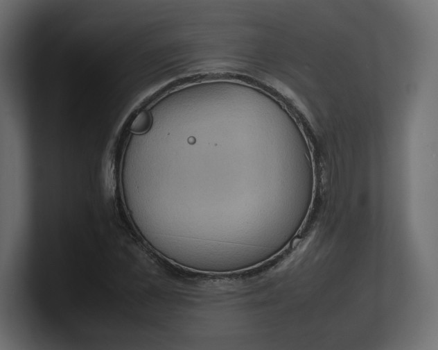 X0000100480973200806271159