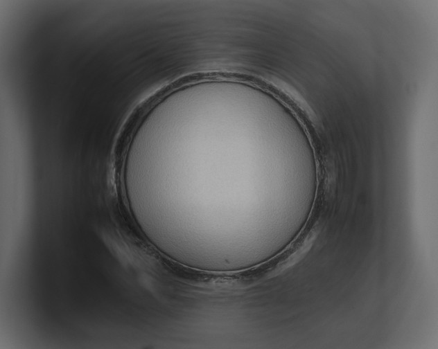X0000100480974200806271159