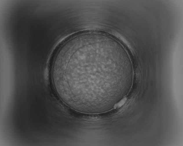 X0000100480975200806271159