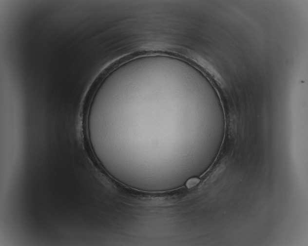 X0000100480976200806271159