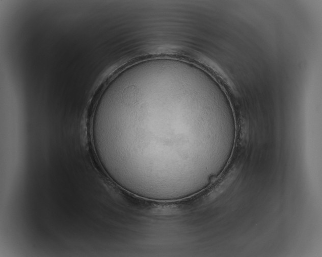 X0000100480978200806271159