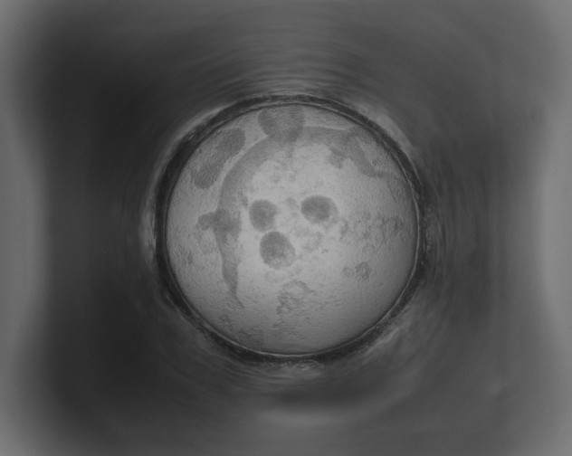 X0000100480979200806271159
