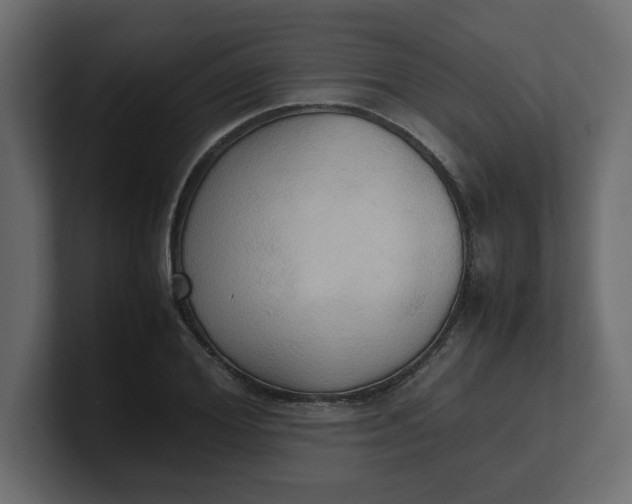 X0000100480980200806271159
