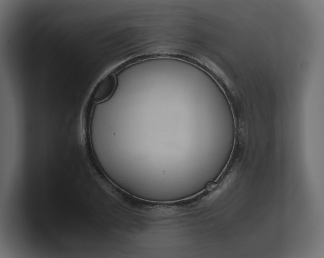 X0000100480981200806271159