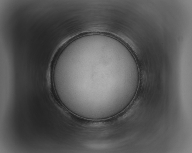 X0000100480982200806271159
