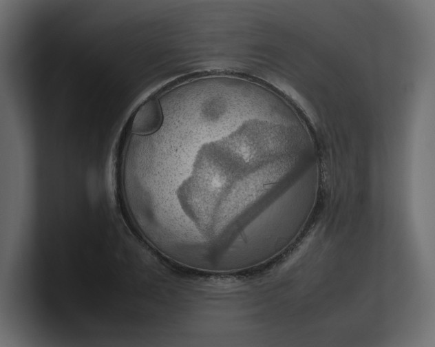 X0000100480983200806271159
