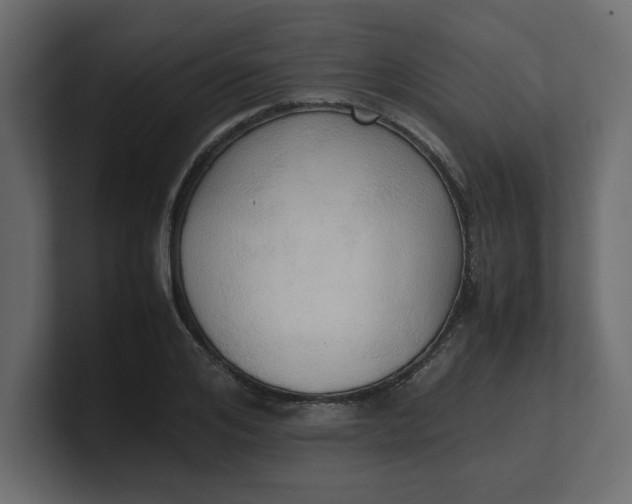 X0000100480984200806271159