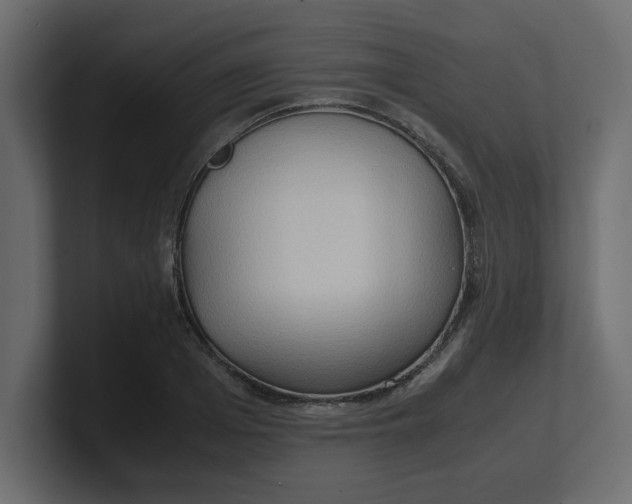 X0000100480985200806271159