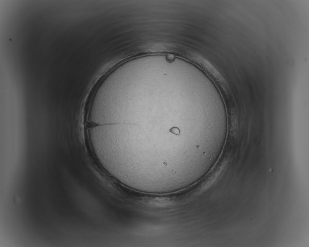 X0000100480986200806271159
