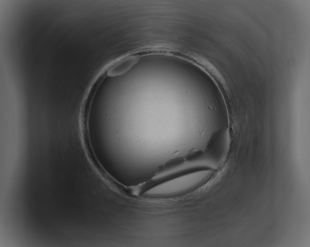 X0000100480989200806271158