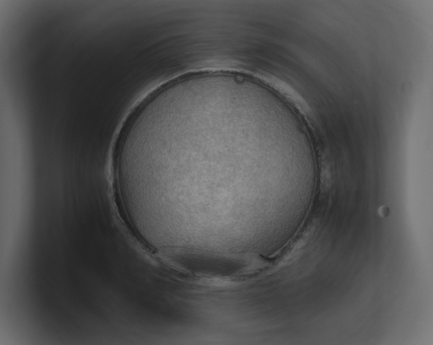 X0000100480990200806271158