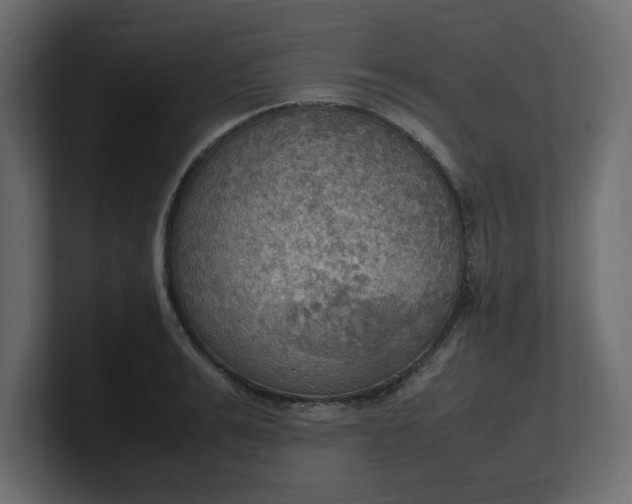 X0000100480991200806271158