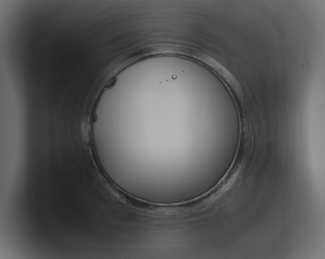 X0000100480993200806271158