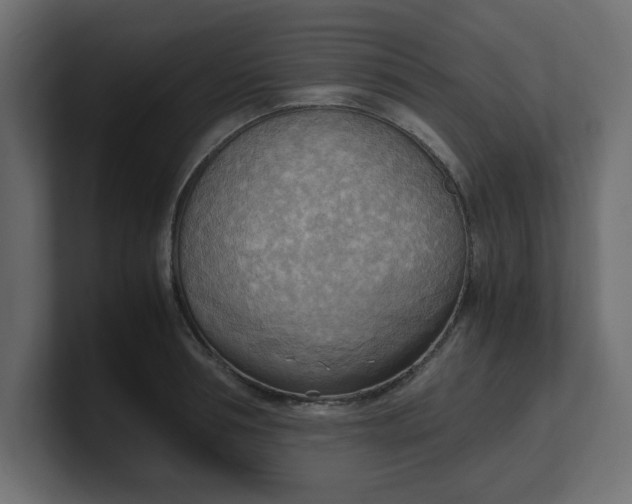 X0000100480994200806271158