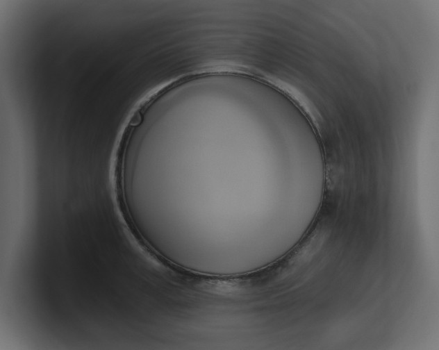 X0000100480995200806271158