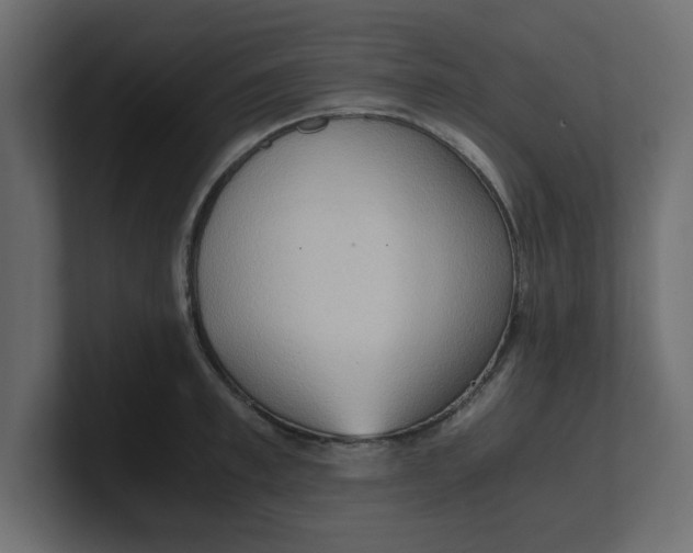 X0000100480997200806271158