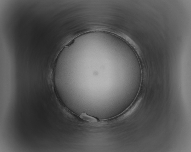 X0000100481001200806271158