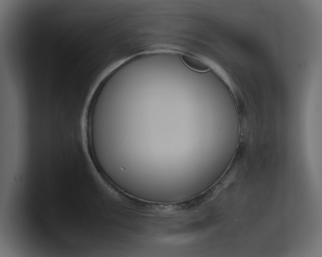 X0000100481003200806271158