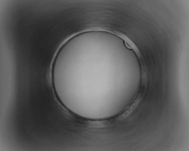 X0000100481004200806271158