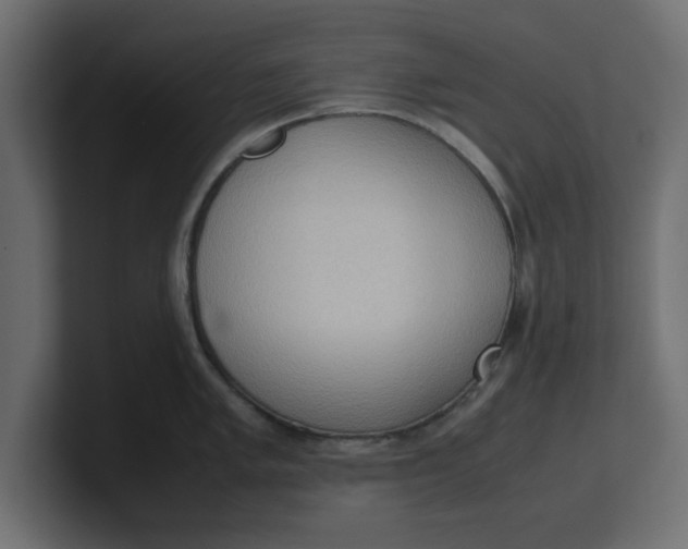 X0000100481005200806271158