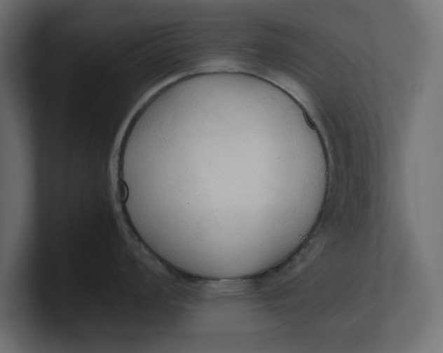X0000100481008200806271158