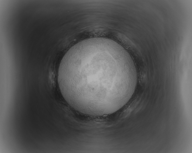 X0000100481010200806271158