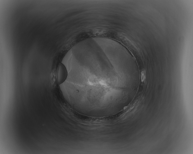 X0000100481011200806271158