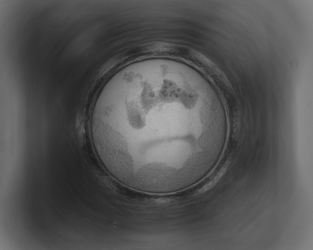 X0000100481017200806271158
