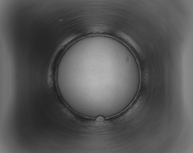 X0000100481018200806271158