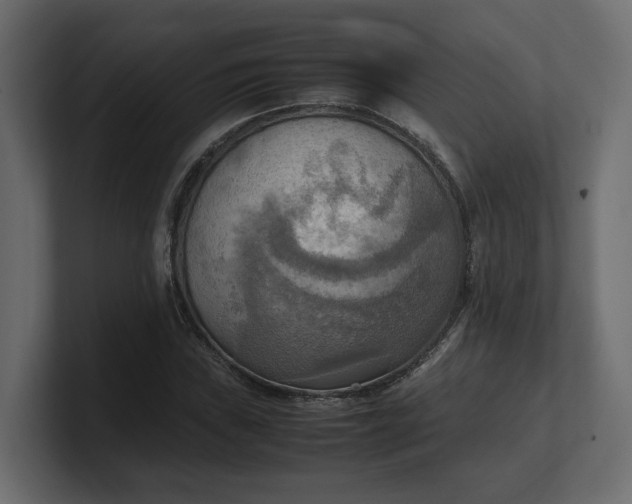 X0000100481019200806271158