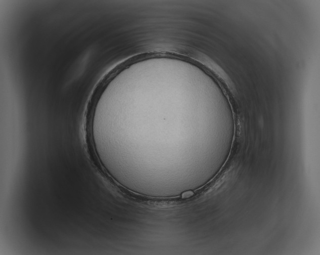 X0000100481020200806271158