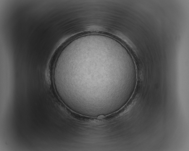 X0000100481022200806271158