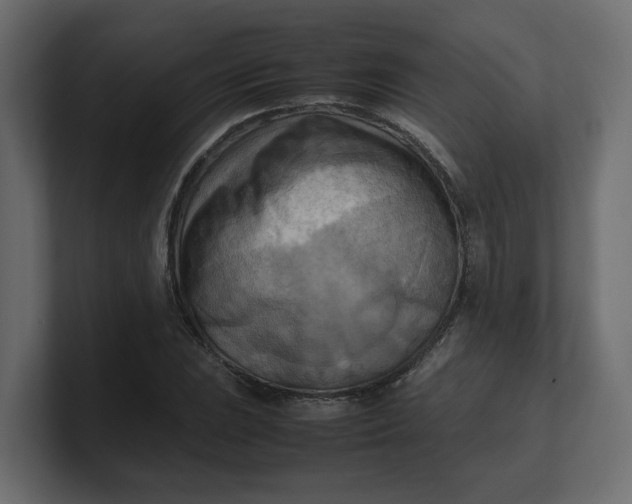 X0000100481023200806271158
