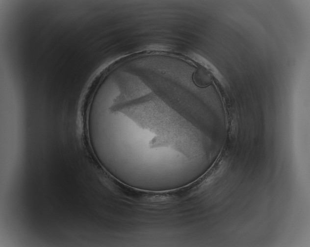 X0000100481027200806271158